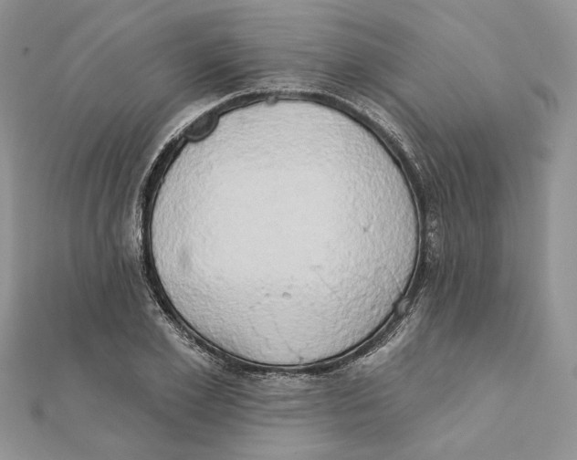 X0000111440981200908031349