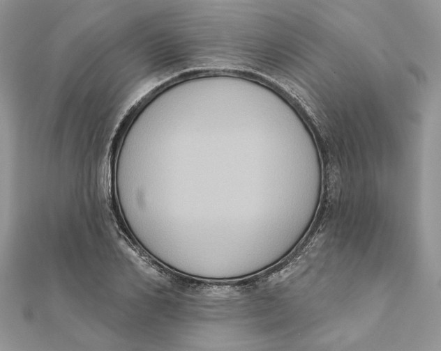 X0000111440982200908031349