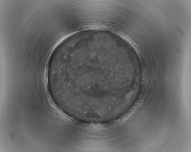 X0000111440983200908031349