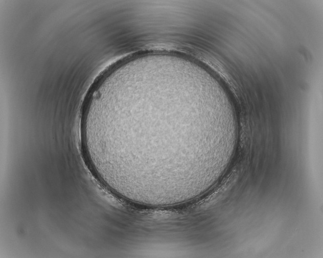 X0000111440984200908031349