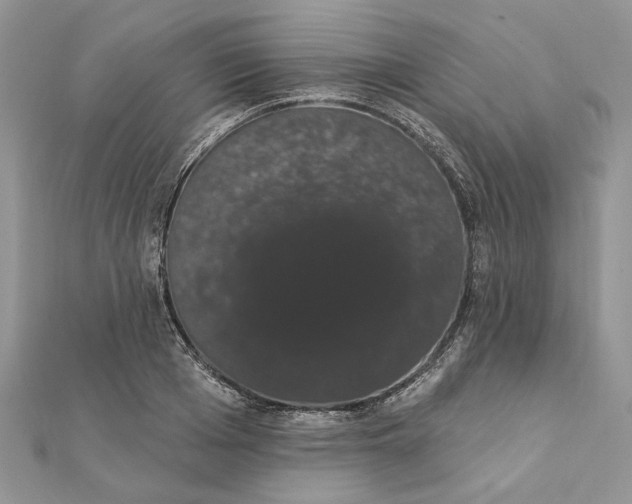 X0000111440985200908031349