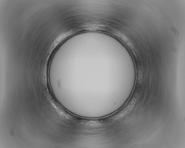 X0000111440986200908031349