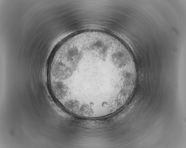 X0000111440987200908031349