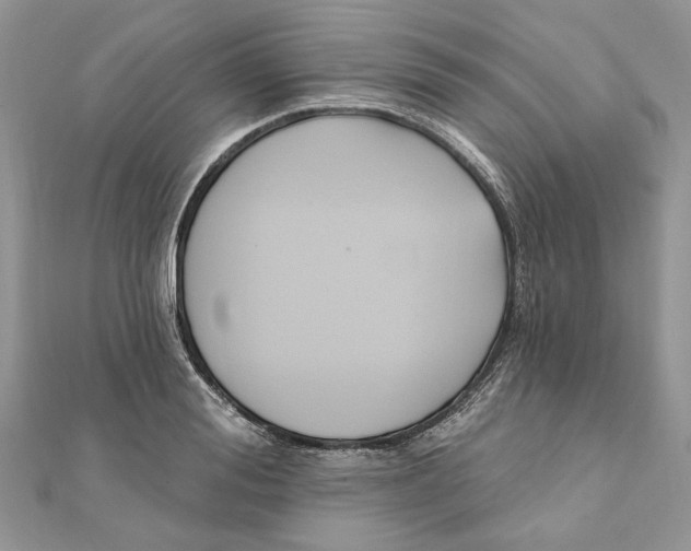 X0000111440988200908031349