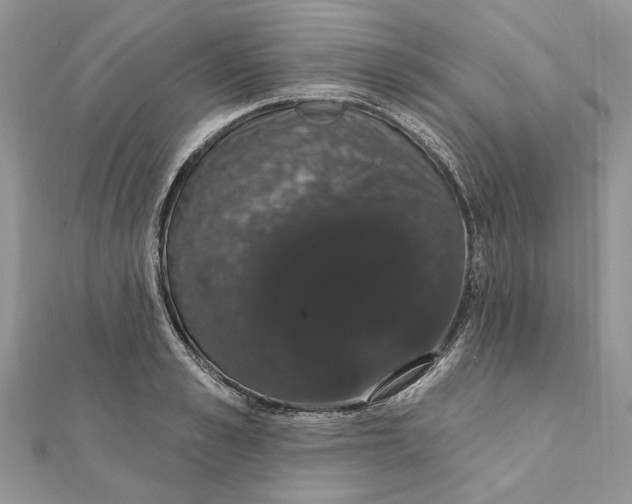 X0000111440989200908031349