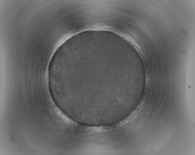 X0000111440990200908031349