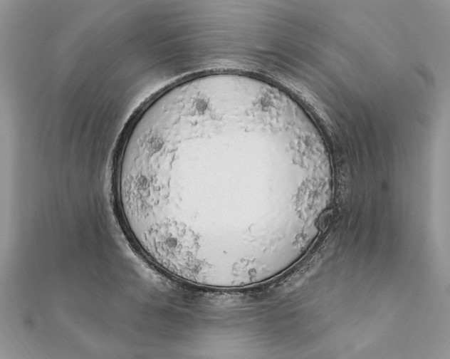 X0000111440991200908031349