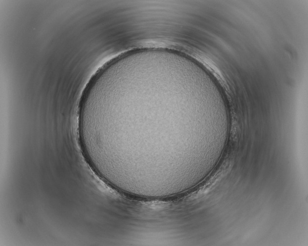 X0000111440992200908031349