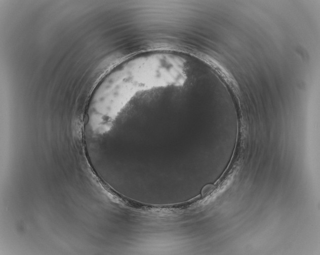 X0000111440993200908031349