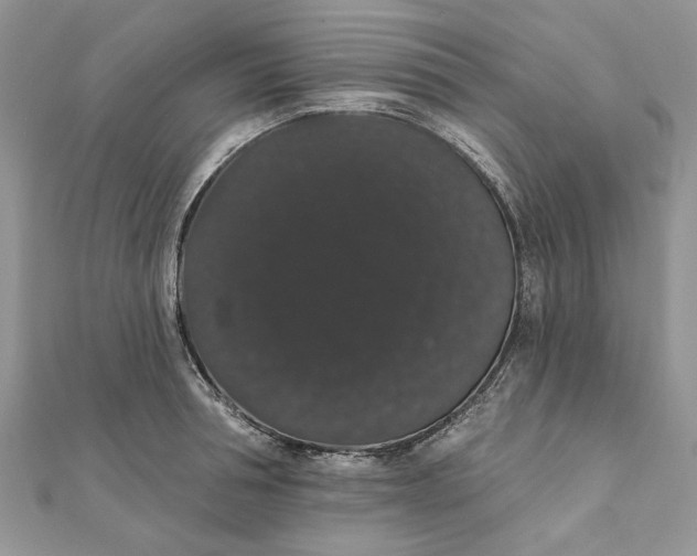 X0000111440994200908031349