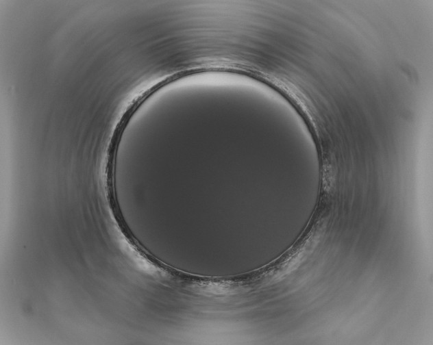 X0000111440995200908031349