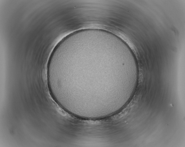 X0000111440996200908031349