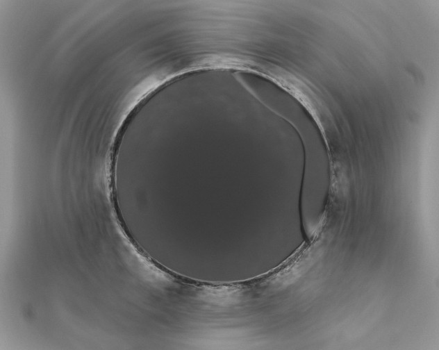 X0000111440997200908031349