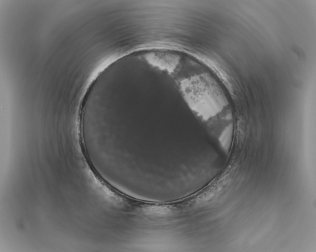 X0000111440998200908031349