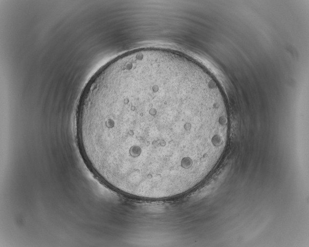 X0000111440999200908031349