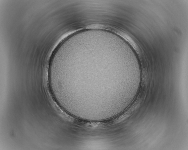 X0000111441000200908031349