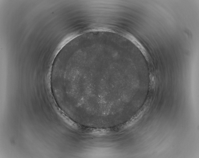 X0000111441002200908031349