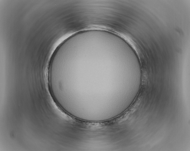 X0000111441003200908031349