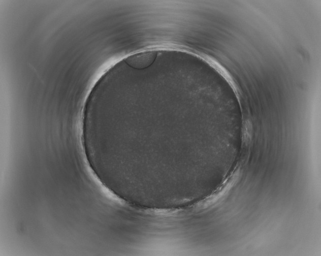 X0000111441005200908031348