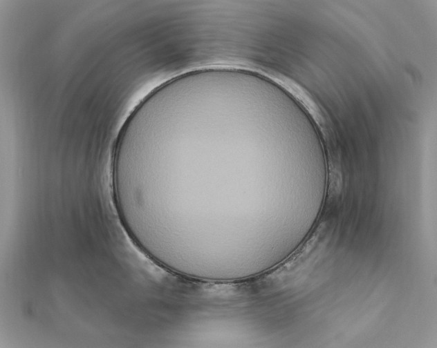 X0000111441006200908031348