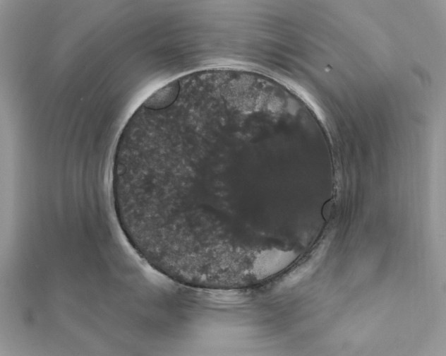 X0000111441007200908031348