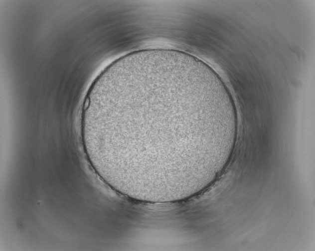 X0000111441008200908031348