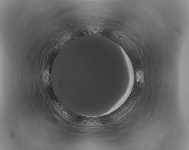 X0000111441011200908031348