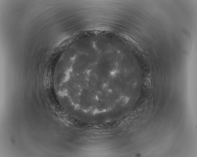 X0000111441014200908031348