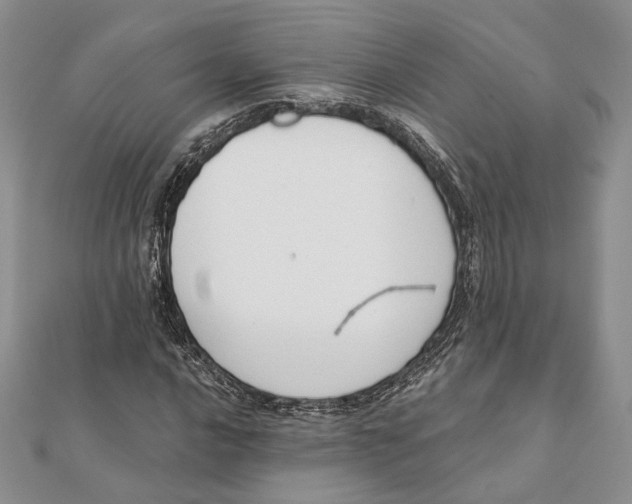 X0000111441016200908031348