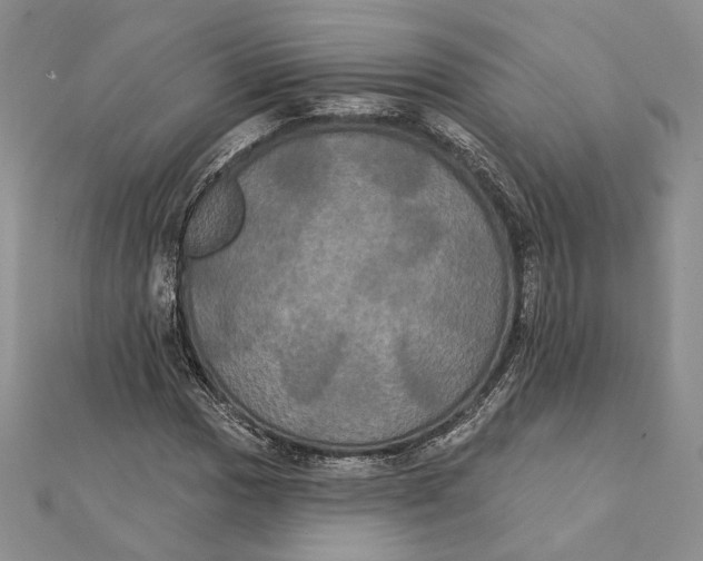 X0000111441017200908031348