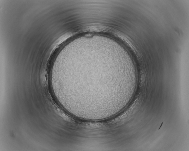 X0000111441018200908031348