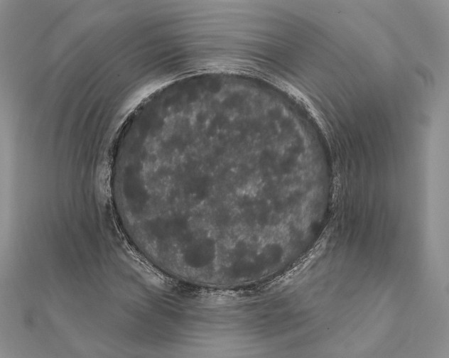 X0000111441019200908031348