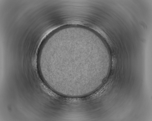 X0000111441020200908031348