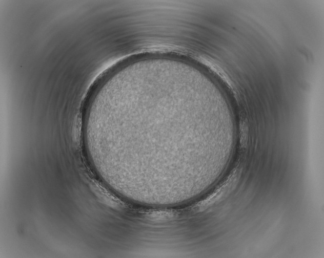 X0000111441021200908031348