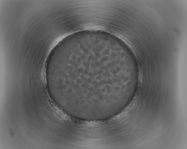 X0000111441022200908031348