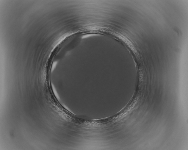 X0000111441023200908031348