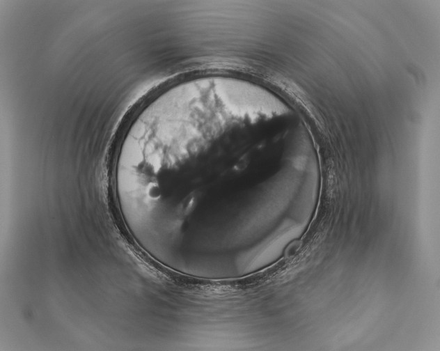 X0000111441024200908031348