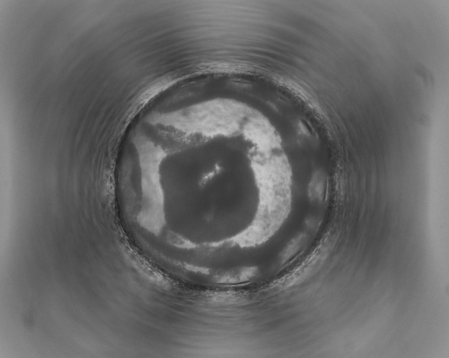 X0000111441025200908031348