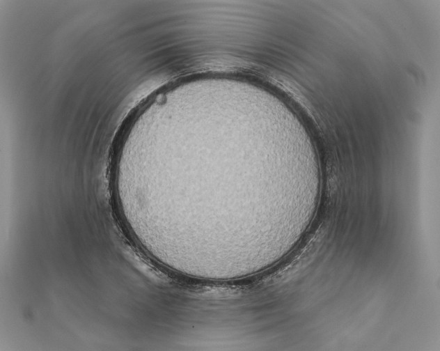 X0000111441026200908031348