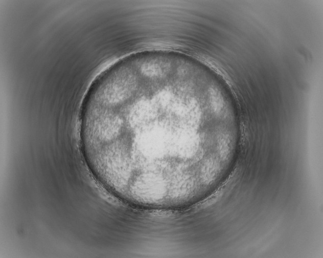 X0000111441029200908031348