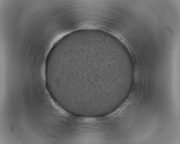 X0000111441030200908031348