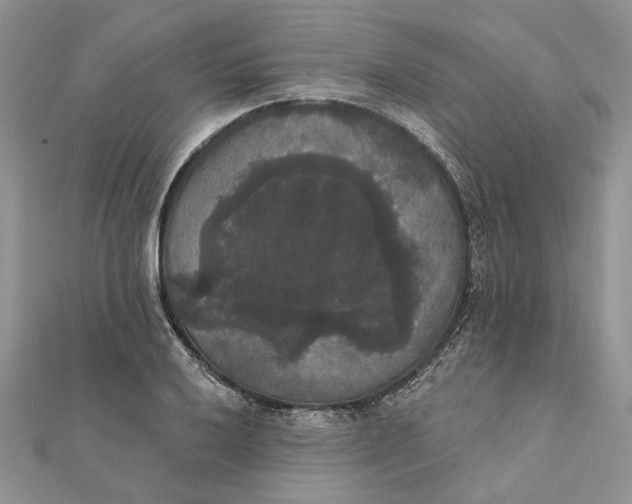 X0000111441032200908031348