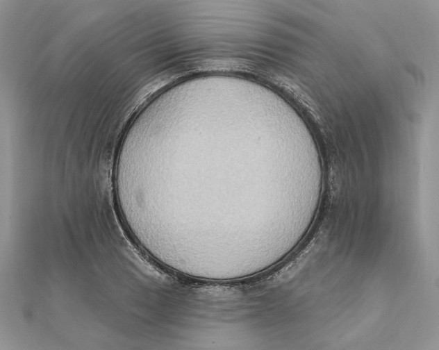 X0000111441033200908031348