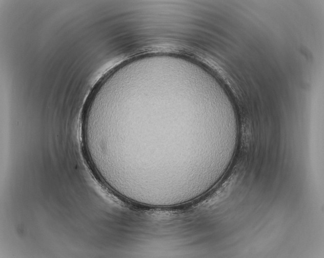 X0000111441034200908031348