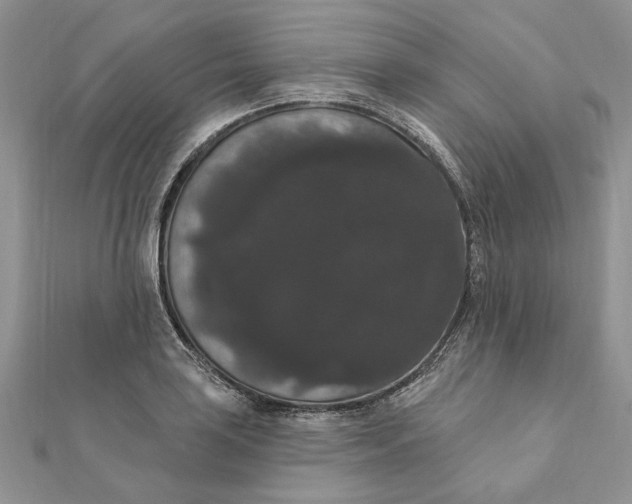 X0000111441035200908031348