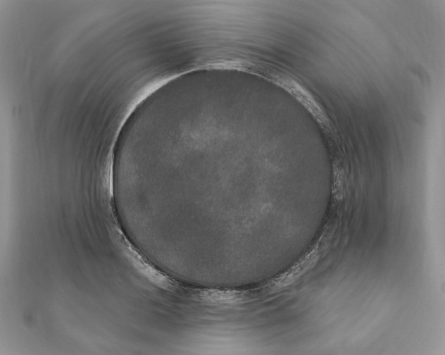 X0000111441036200908031348