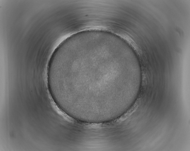 X0000111441038200908031348