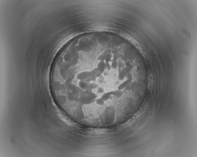 X0000111441039200908031348