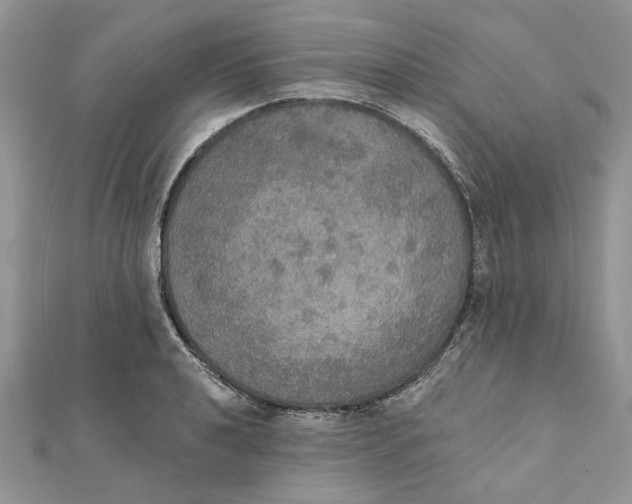 X0000111441040200908031348