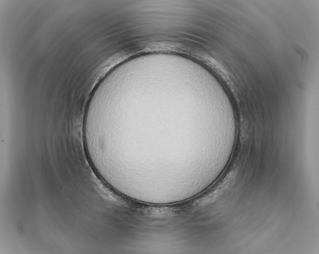 X0000111441041200908031348